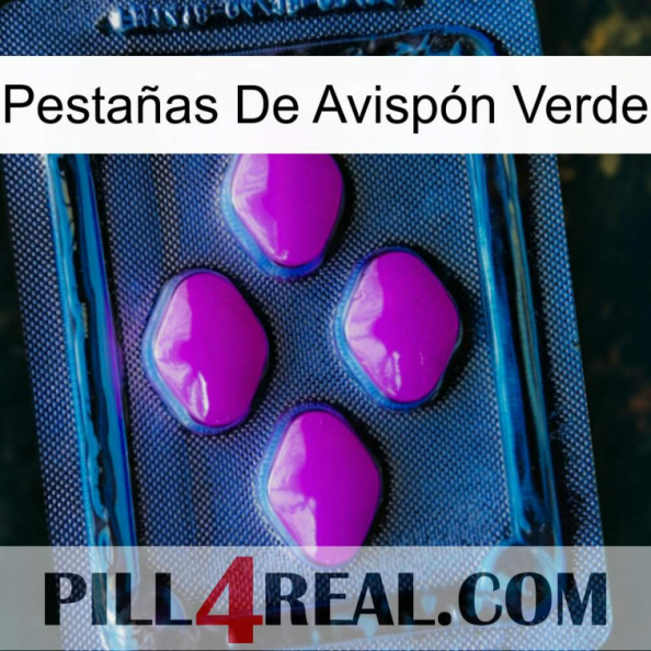 Pestañas De Avispón Verde 04.jpg